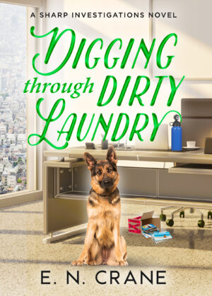 Digging Through Dirty Laundry